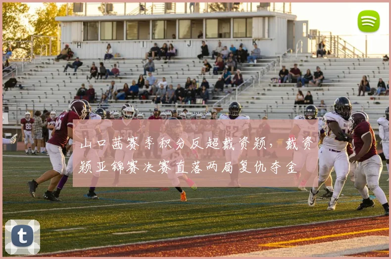 山口茜赛季积分反超戴资颖,戴资颖亚锦赛决赛直落两局复仇夺金