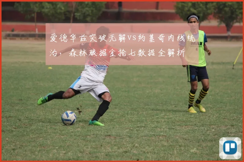 爱德华兹突破无解vs约基奇内线统治，森林狼掘金抢七数据全解析